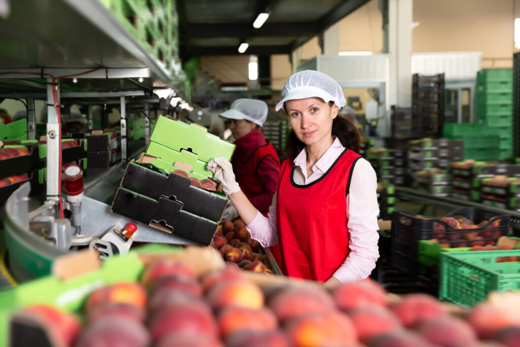 DIVISE ORTOFRUTTA VITERBO